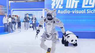 小猫视频大全搞笑可爱